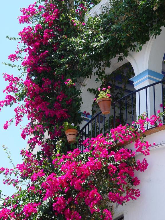 Pierre & Vacances Mojacar Playa Luaran gambar